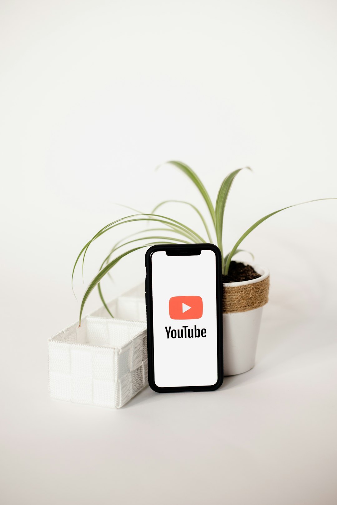 a-cell-phone-sitting-next-to-a-potted-plant-tm4wljuvicy